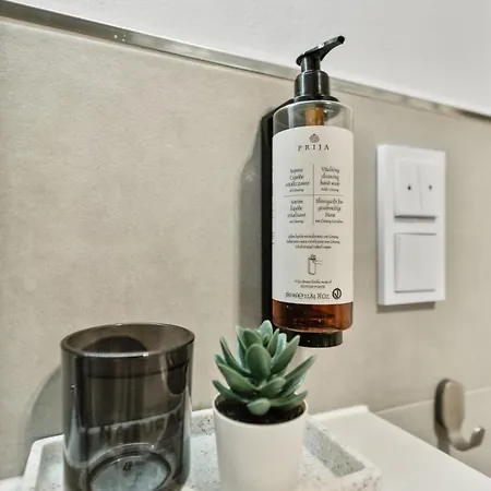 Zwei Fuer Bis Zu 8 Personen Zentral, Modern, Mit Terrasse & Balkon شقة *